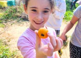 seeds-wisdom-israel-children-Mindfulness-MBIs