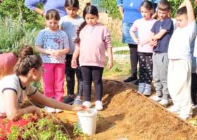 seeds-wisdom-israel-children-regeneerative-agriculture